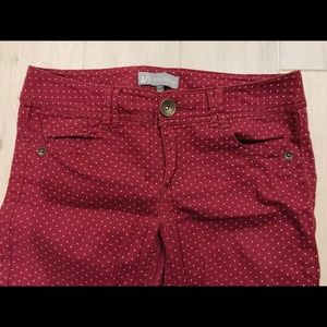 Burgandy Polka Dot Pants